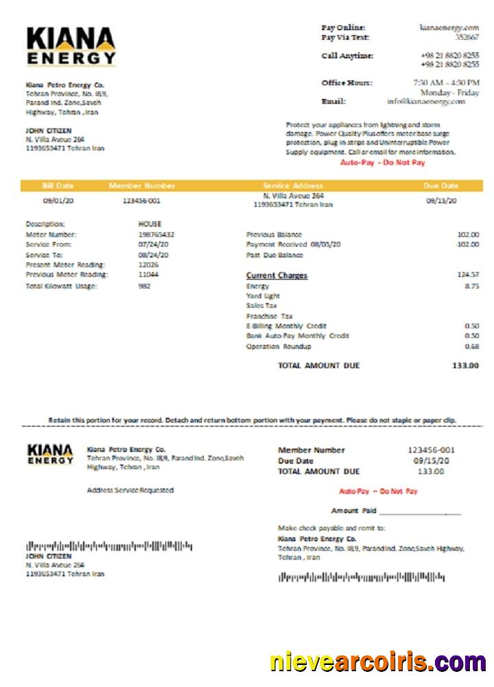 Iran Kiana Petro Energy Co utility bill